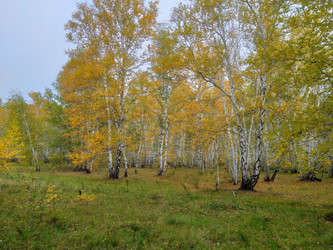 Similar image 21707278