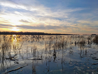 Similar image 21707282