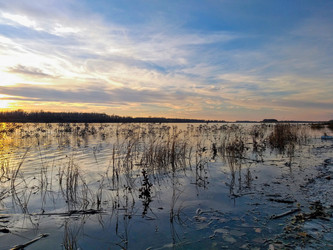 Similar image 21707283