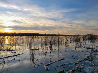 Similar image 21707285