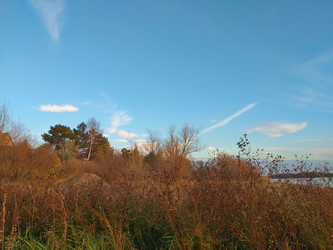 Similar image 21707287