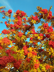 Similar image 21707288