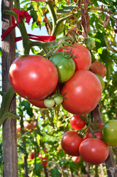 Similar image 21707294