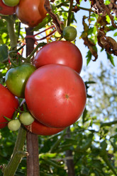 Similar image 21707295