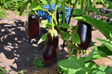 Similar image 21707296