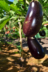 Similar image 21707297