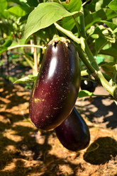 Similar image 21707298