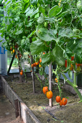 Similar image 21707299