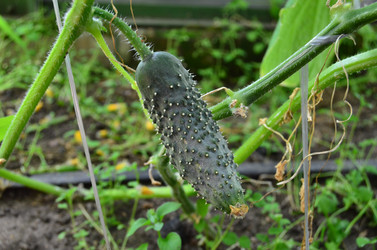 Similar image 21707301