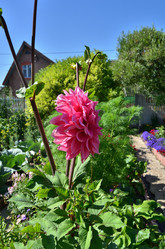 Similar image 21707303