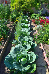 Similar image 21707305