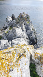 Similar image 21707309