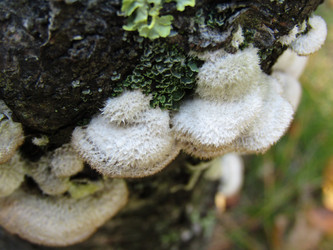 Similar image 21711905