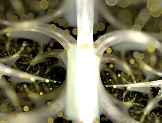 Similar image 21709411