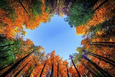 Similar image 21719913