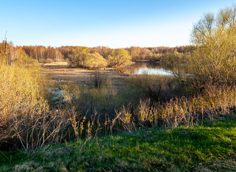 Similar image 21707876