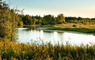 Similar image 21707877