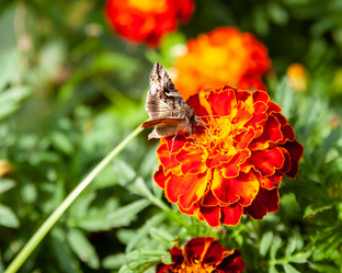 Similar image 21707878