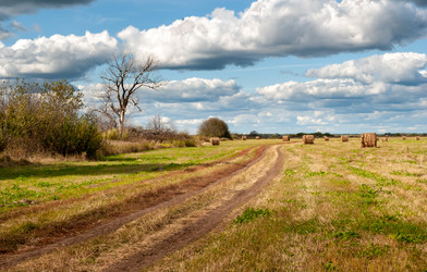 Similar image 21707879