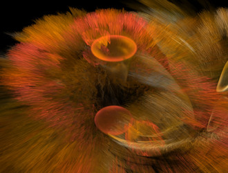 Similar image 21709412