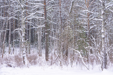 Similar image 21708609