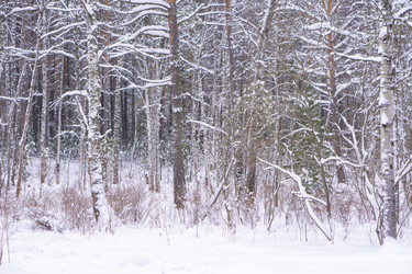 Similar image 21708610