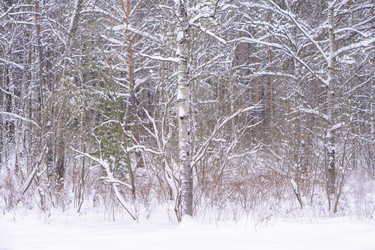 Similar image 21708611