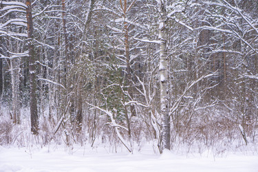 Similar image 21708612