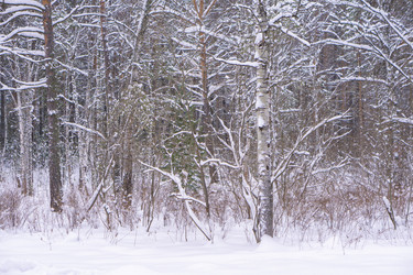 Similar image 21708613