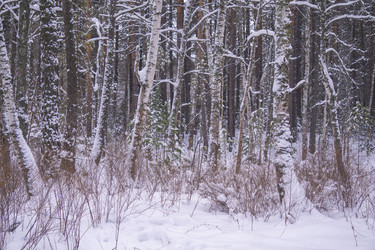 Similar image 21708615