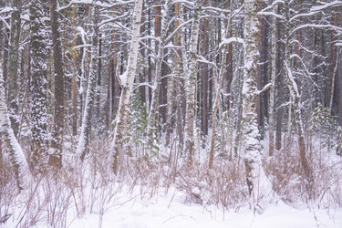 Similar image 21708616