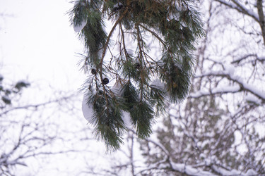 Similar image 21708617