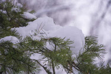 Similar image 21708618