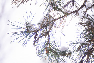 Similar image 21708619