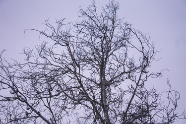 Similar image 21708620