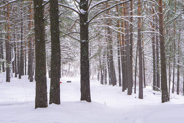 Similar image 21708621