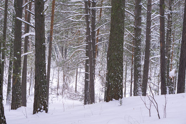 Similar image 21708623