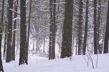 Similar image 21708624