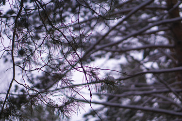 Similar image 21708625