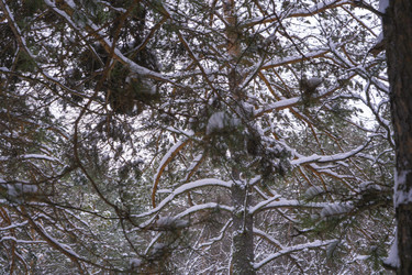 Similar image 21708626