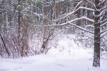 Similar image 21708627