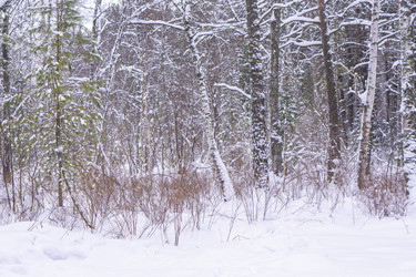 Similar image 21708628