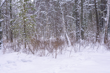 Similar image 21708629