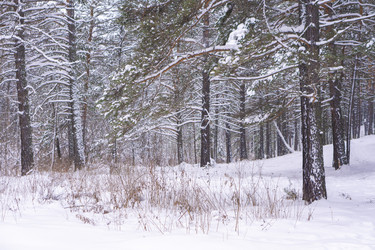 Similar image 21708630