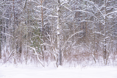 Similar image 21708631