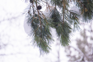 Similar image 21708632