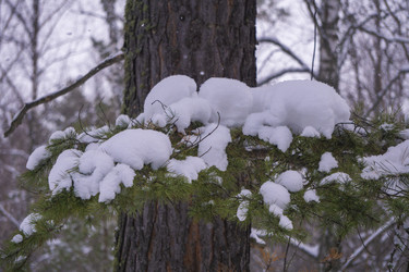 Similar image 21708633