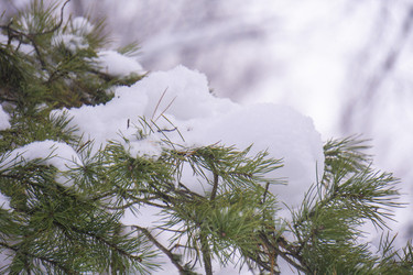 Similar image 21708634