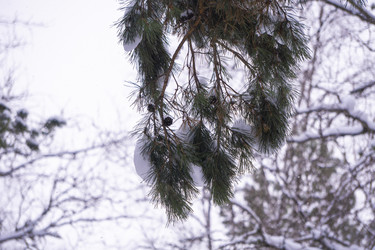 Similar image 21708635