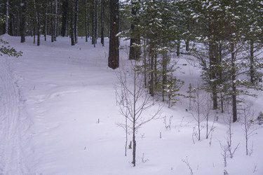 Similar image 21708636